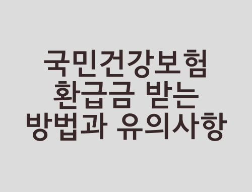 국민건강보험-환급금