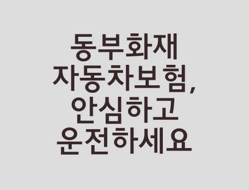 동부화재-자동차보험