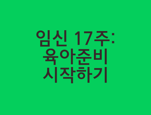 임신-17주